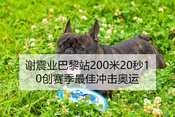 谢震业巴黎站200米20秒10创赛季最佳冲击奥运